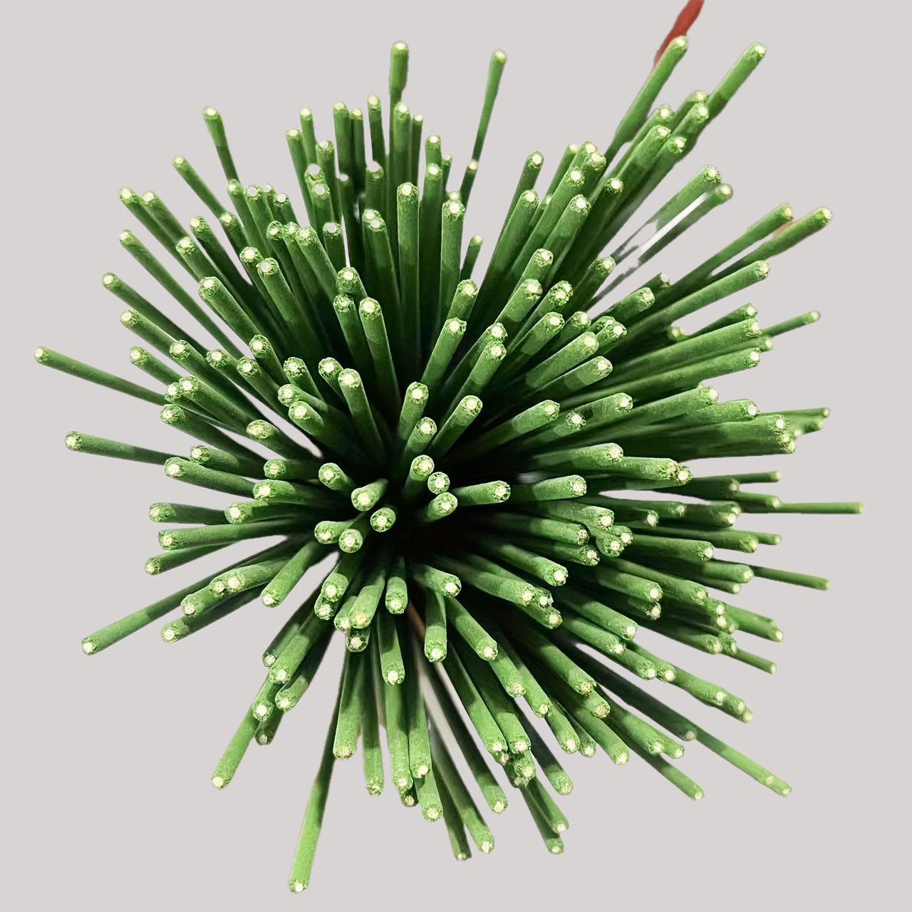 Reed Diffuser Sticks Lemongras - огляд і ціна Home Fragrance Best