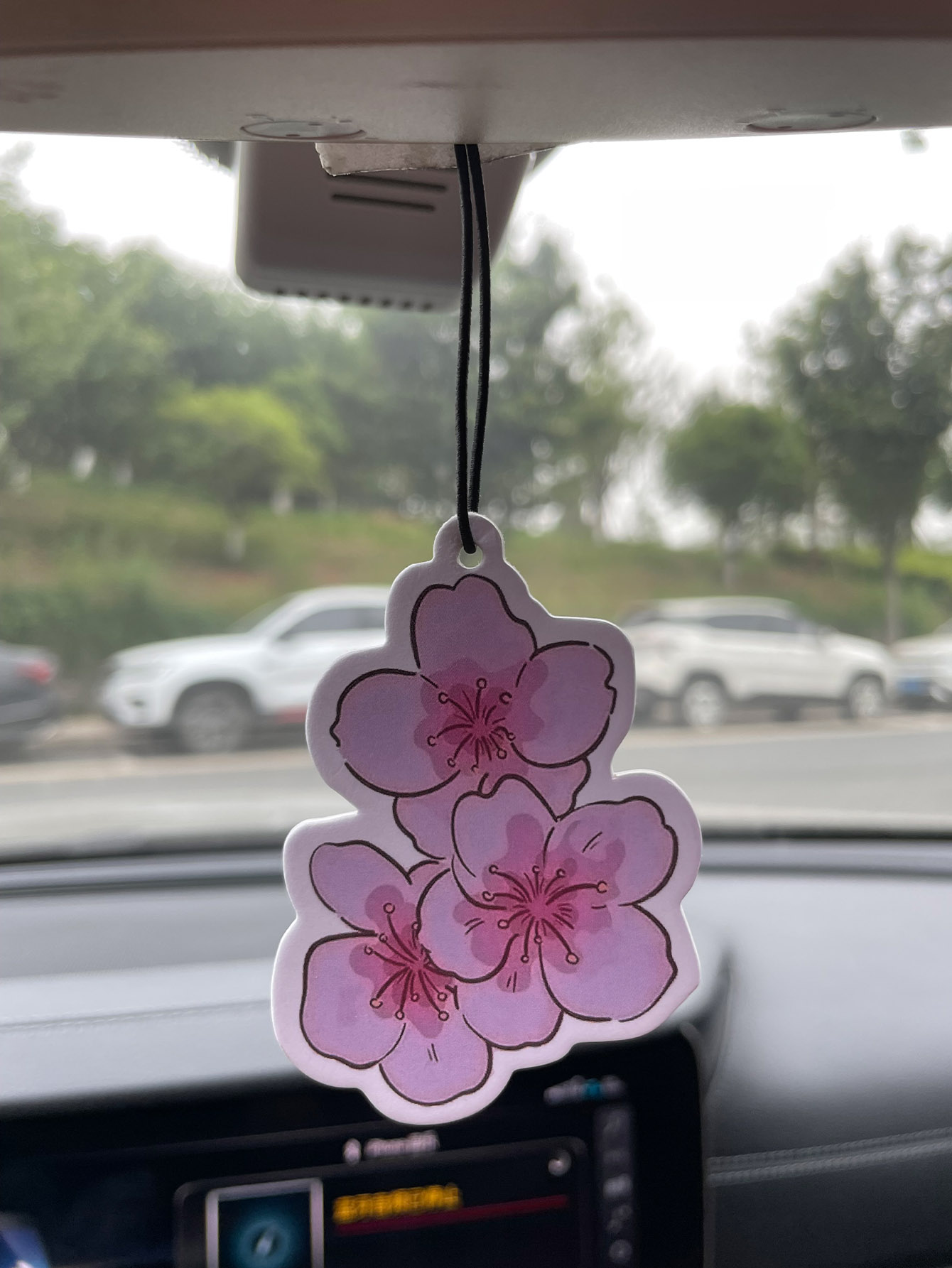 Sakura/Freesia Fresh Scent Fiv - огляд і ціна Home Fragrance Best